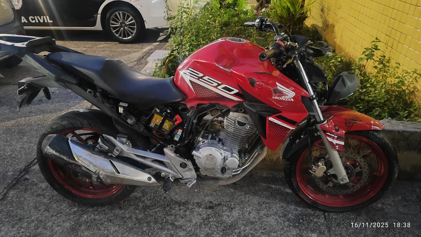 41º BPM recupera motocicleta roubada e resgata Macaco-prego em Irajá